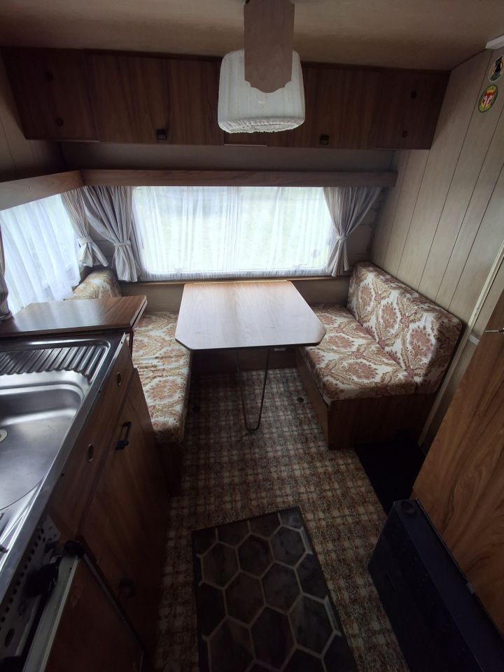 Działka rekreacyjna Kamienica, Zielony zakątek. Zdjęcie 10