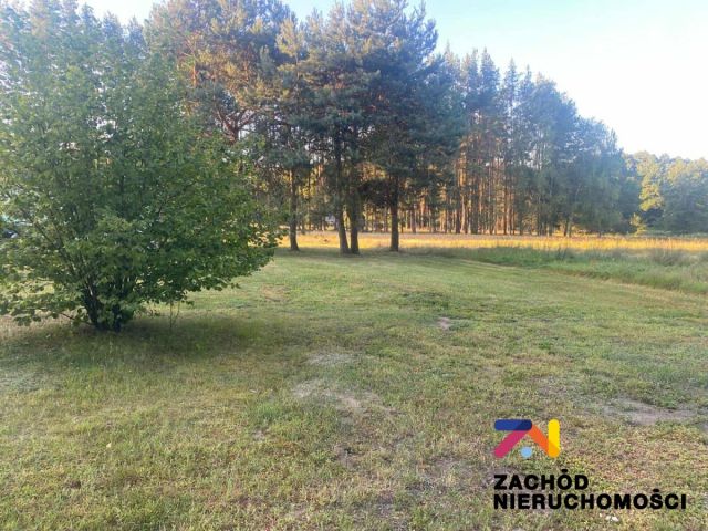 Działka budowlana Brody. Zdjęcie 3