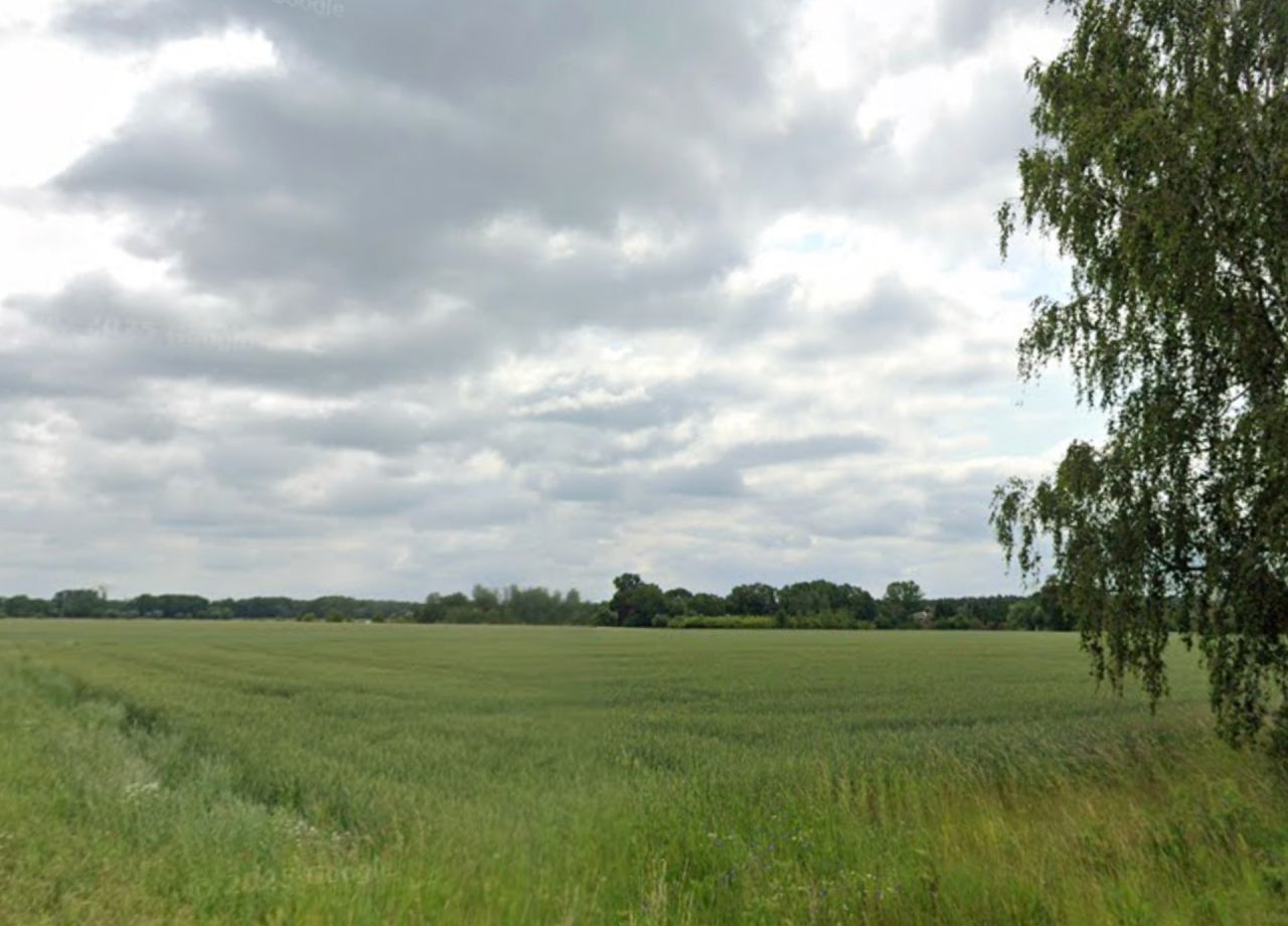 Działka rolna Cieśle. Zdjęcie 3