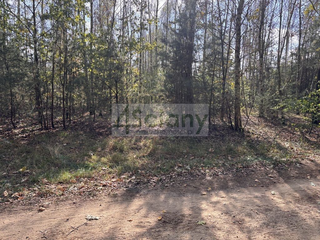 Działka budowlana Dębina. Zdjęcie 3