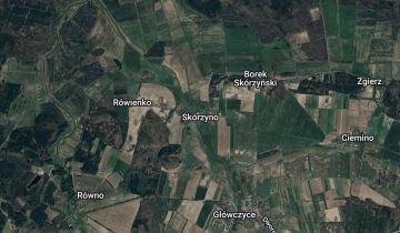 Działka leśna Skórzyno