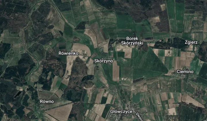 Działka leśna Skórzyno