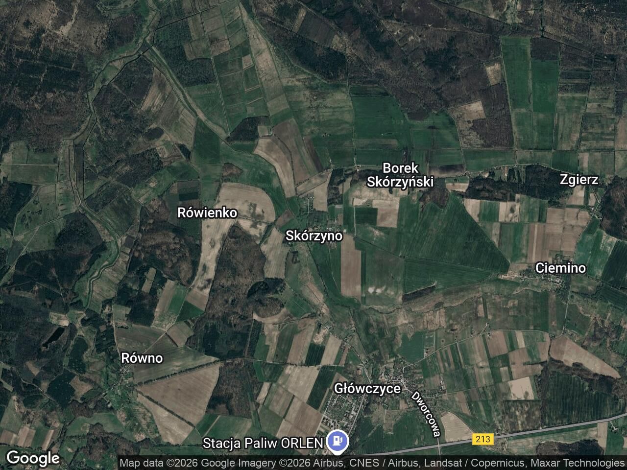 Działka leśna Skórzyno