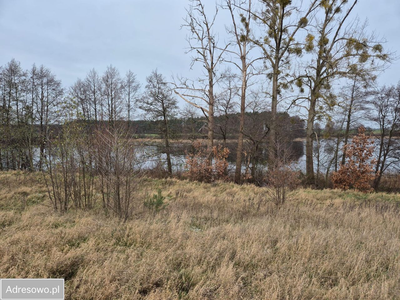 Działka budowlana Orliczko. Zdjęcie 15