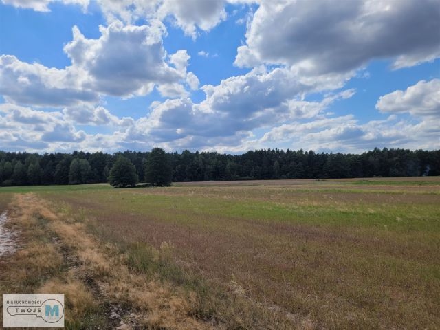 Działka rekreacyjna Kluczewsko. Zdjęcie 10