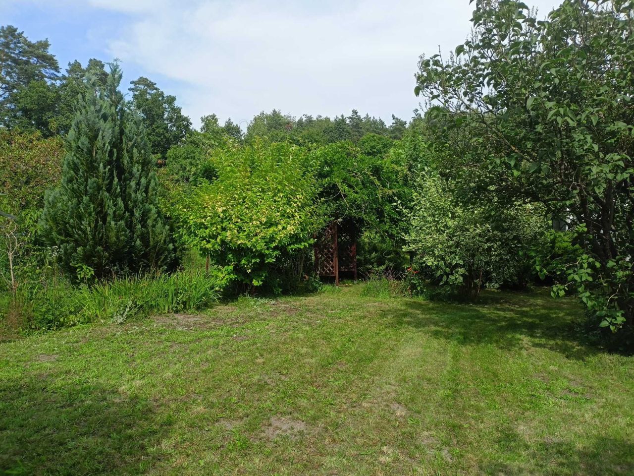 Działka rod Zielona Góra. Zdjęcie 6