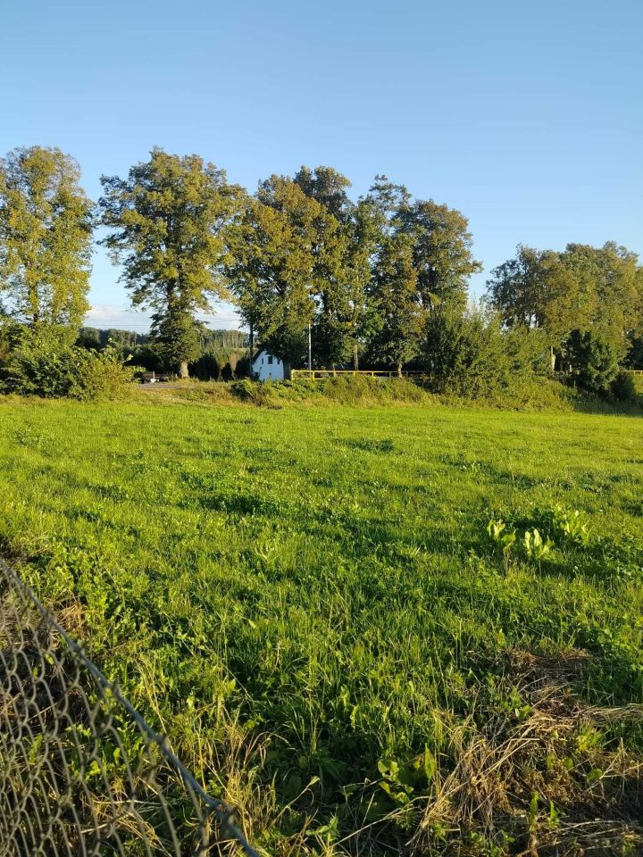 Działka budowlana Rybno. Zdjęcie 7