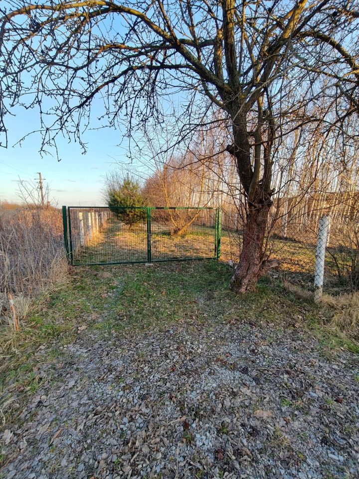 Działka rolno-budowlana Grochowe. Zdjęcie 2