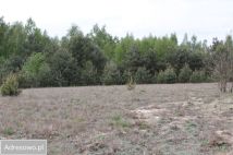 Działka budowlana Gąski. Zdjęcie 3