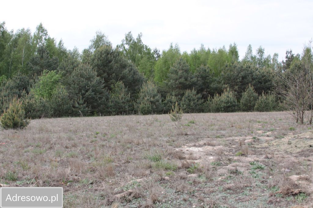Działka budowlana Gąski. Zdjęcie 4