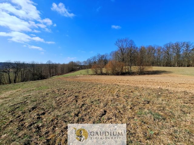 Działka budowlana Kobysewo. Zdjęcie 1