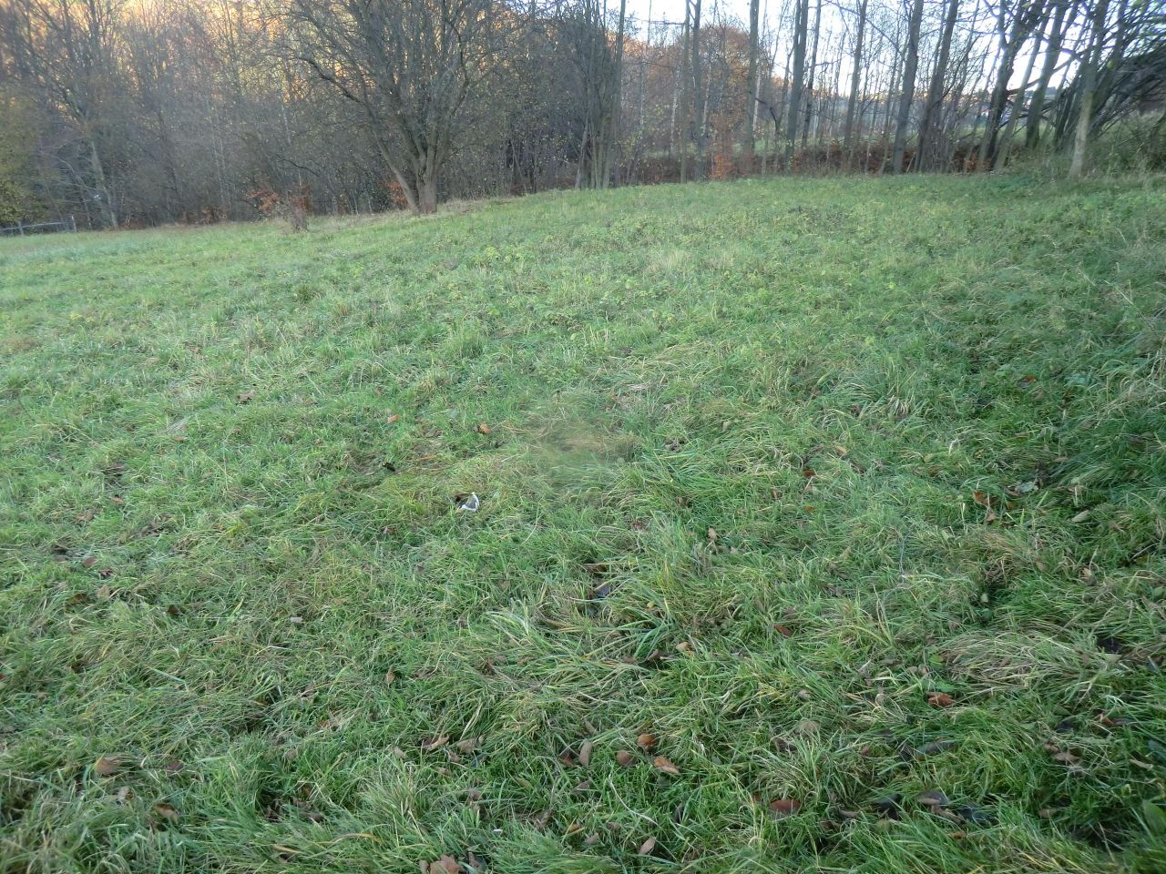 Działka rekreacyjna Juszczyna Puścizna. Zdjęcie 3