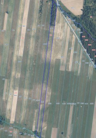 Działka inwestycyjna Belno. Zdjęcie 1