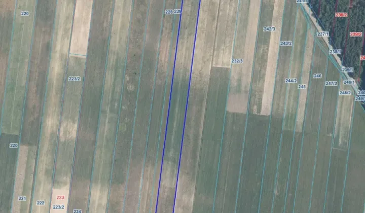 Działka inwestycyjna Belno