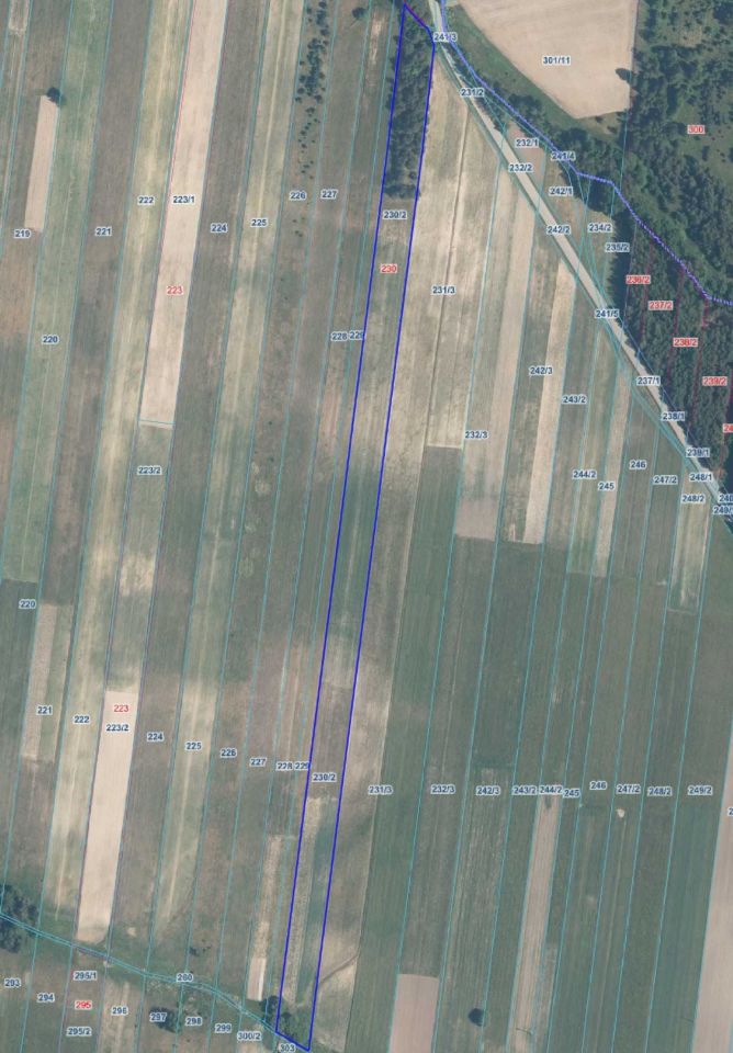 Działka inwestycyjna Belno. Zdjęcie 1