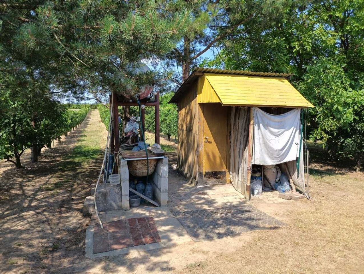 Działka rolna Steniatyn-Kolonia. Zdjęcie 4