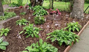 Działka rod Łask, ul. Kazimierza Pułaskiego