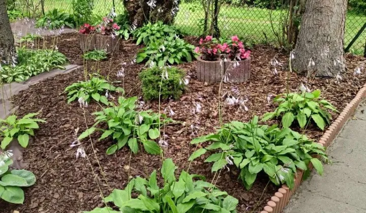 Działka rod Łask, ul. Kazimierza Pułaskiego