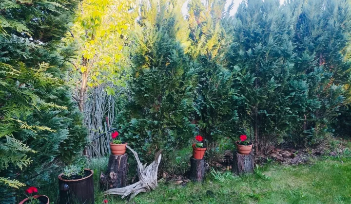 Działka rod Gdańsk Morena