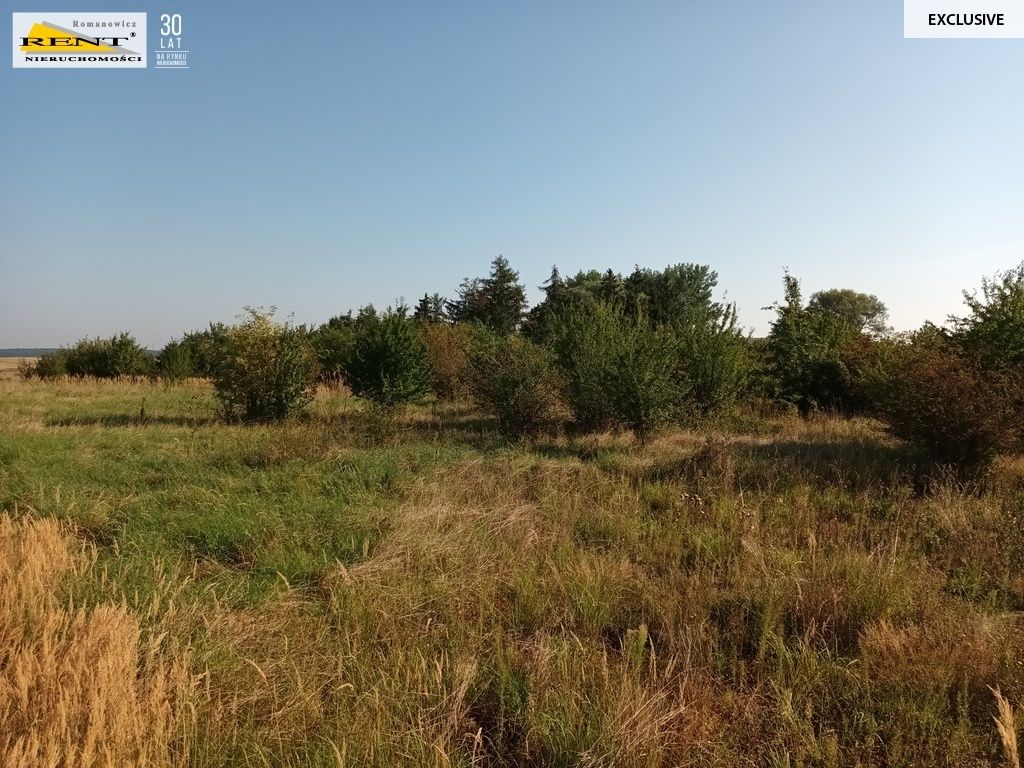 Działka budowlana Chabowo. Zdjęcie 4