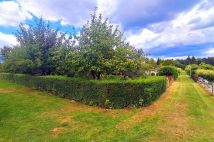 Działka rod Gostynin, ul. Kowalska. Zdjęcie 2