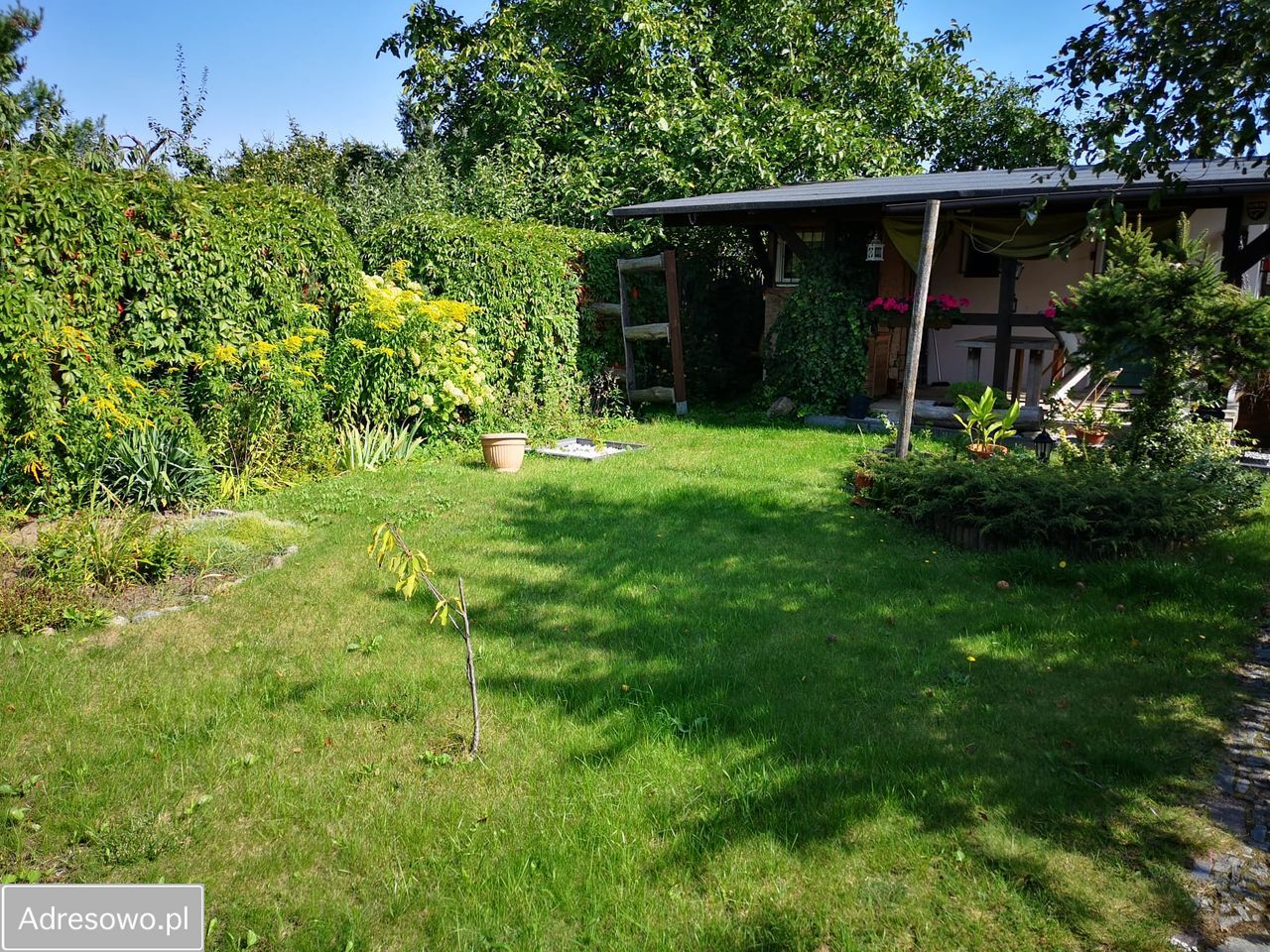 Działka rod Poznań Grunwald, ul. Bukowska. Zdjęcie 14