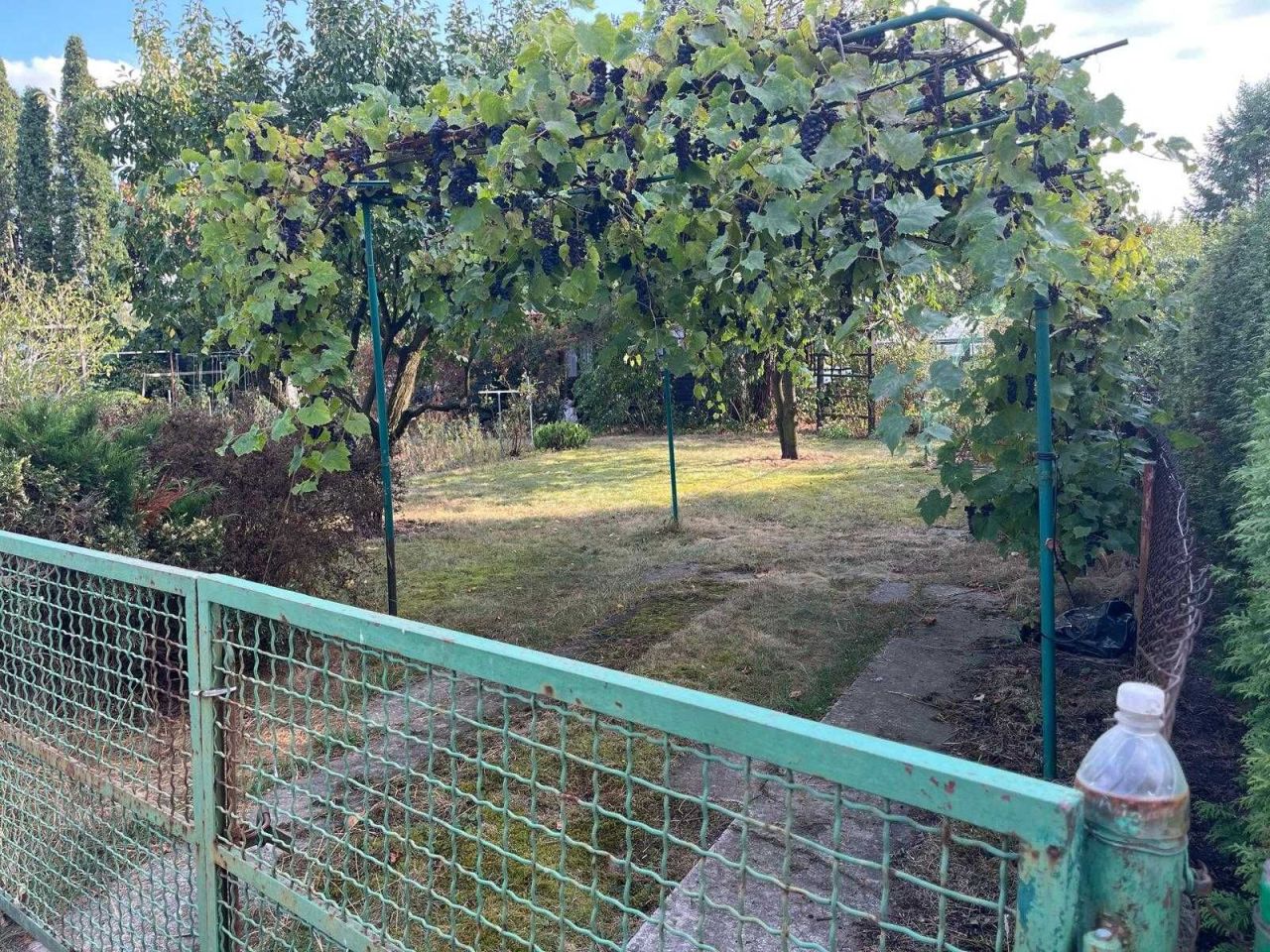 Działka rod Słomin. Zdjęcie 8