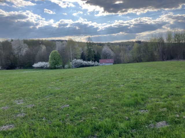 Działka rekreacyjna Brzozów Potok, ul. Spacerowa. Zdjęcie 1