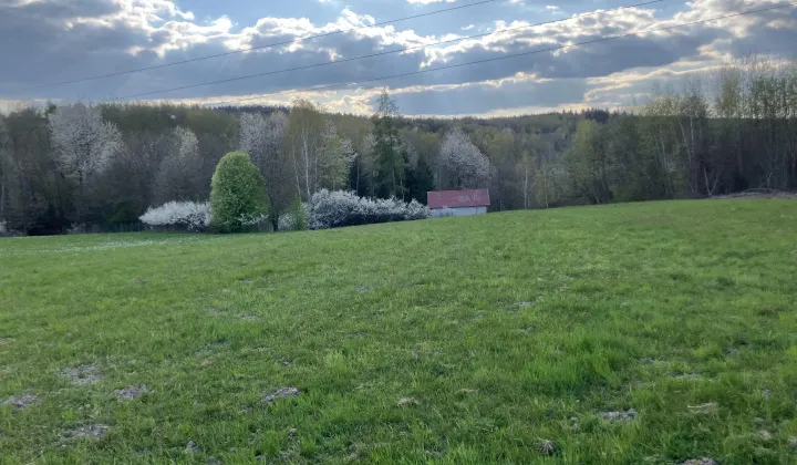 Działka rekreacyjna Brzozów Potok, ul. Spacerowa