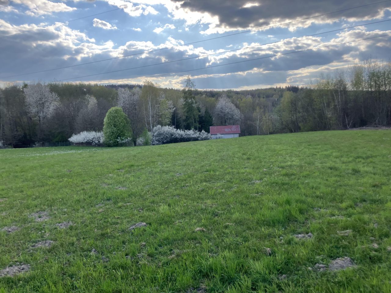 Działka rekreacyjna Brzozów Potok, ul. Spacerowa. Zdjęcie 1