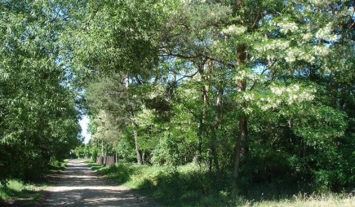 Działka siedliskowa Stary Sielc
