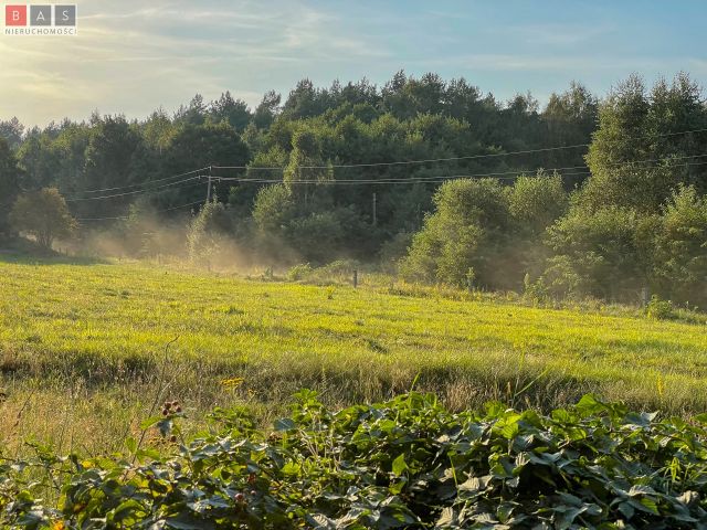 Działka rolno-budowlana Domysłów. Zdjęcie 5