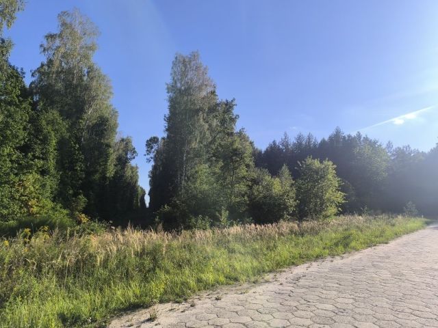 Działka Biała Góra. Zdjęcie 1