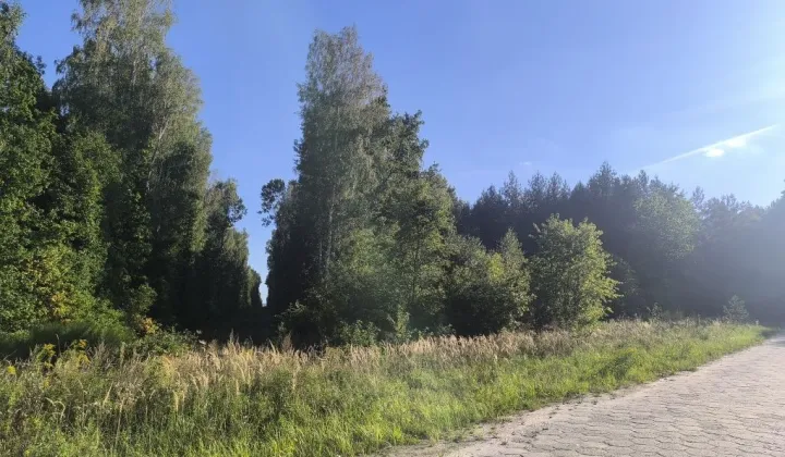 Działka Biała Góra