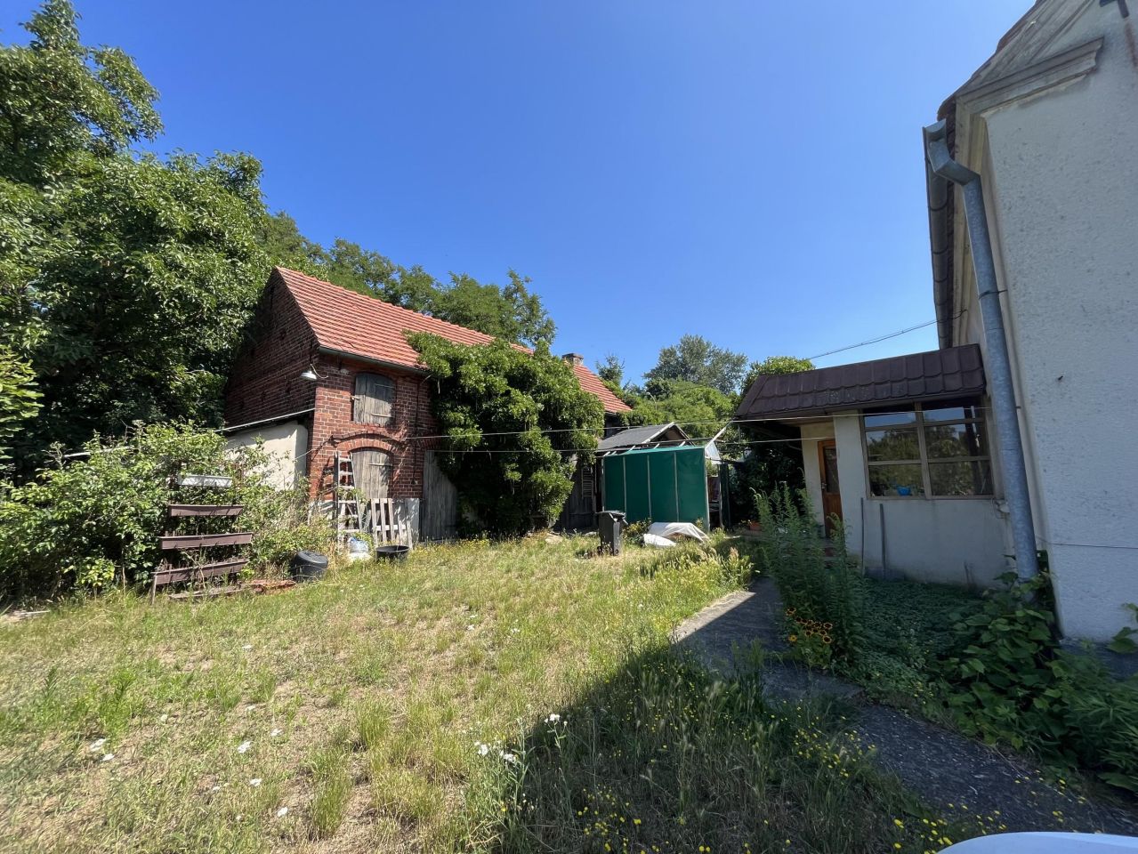 gospodarstwo, 5 pokoi Krosno Odrzańskie, ul. Wiejska. Zdjęcie 10