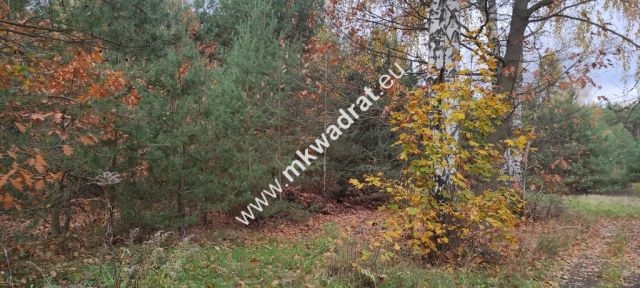 Działka budowlana Tłumy. Zdjęcie 1