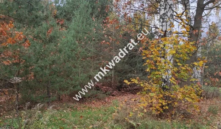 Działka budowlana Tłumy