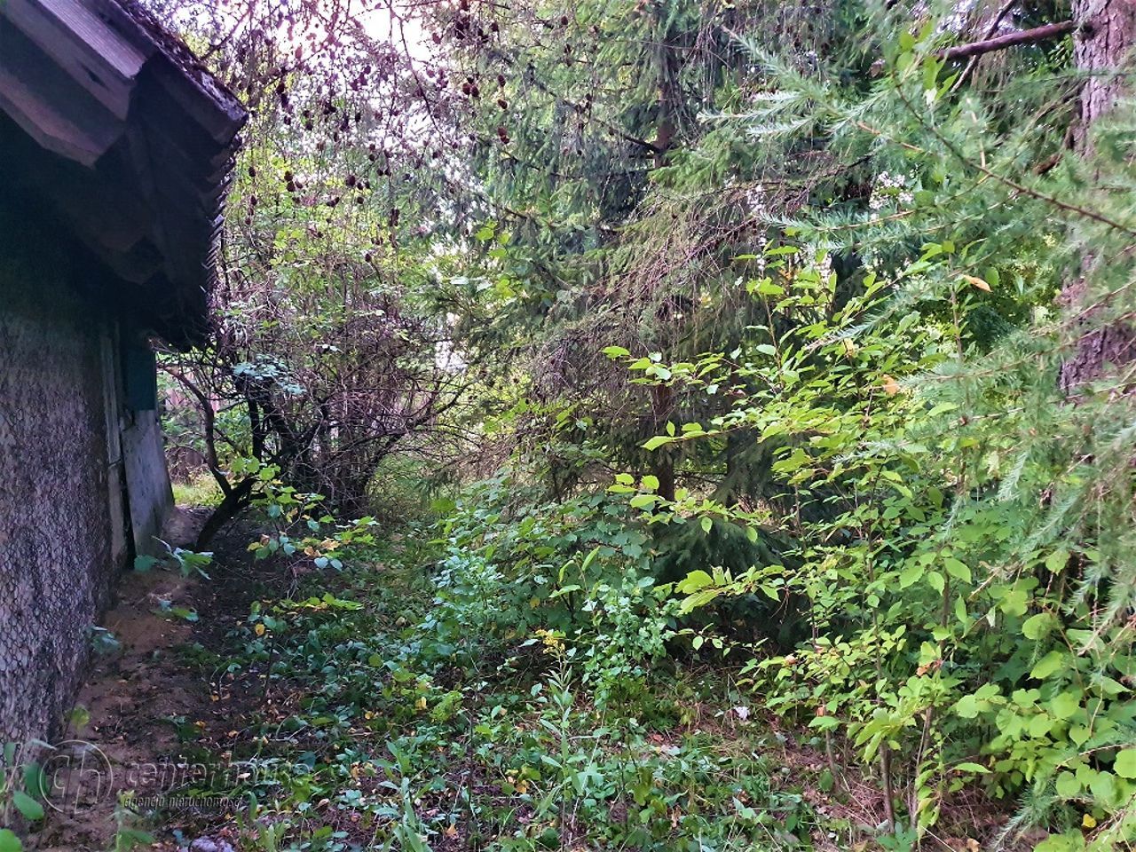 Działka siedliskowa Borek Stary. Zdjęcie 7