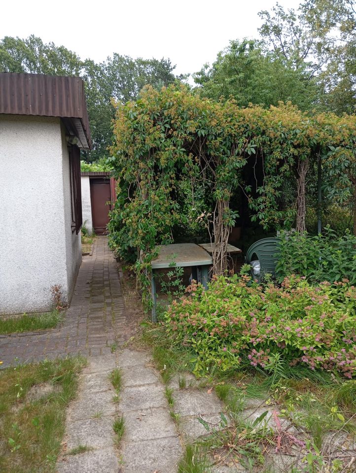 Działka rod Łódź Teofilów, Żeńców. Zdjęcie 4