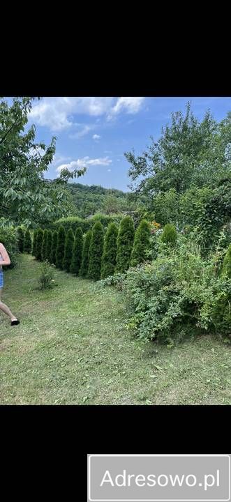 Działka rod Bielsko-Biała Lipnik. Zdjęcie 6