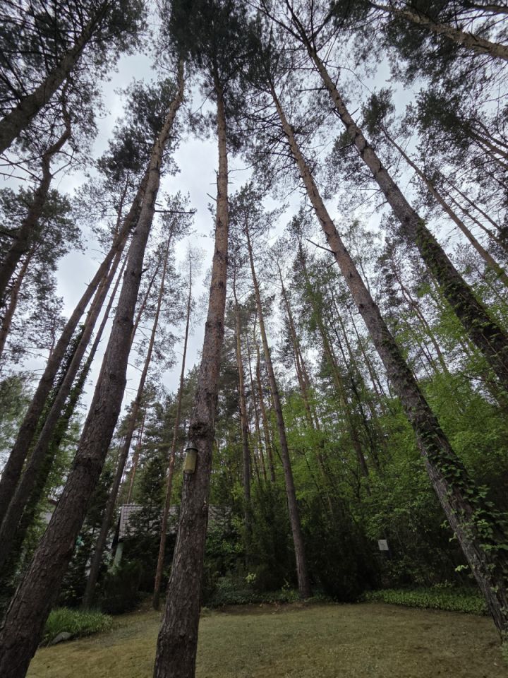 dom wolnostojący, 3 pokoje Adamów. Zdjęcie 4