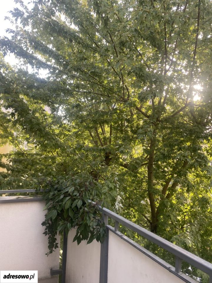 Mieszkanie 1-pokojowe Warszawa Wola, ul. Sienna. Zdjęcie 13