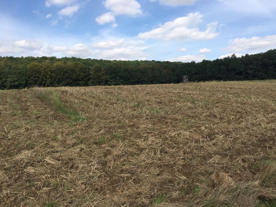 Działka rolna Maszków. Zdjęcie 4