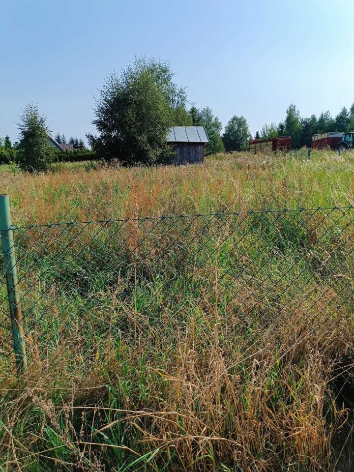 Działka budowlana Dębe. Zdjęcie 3