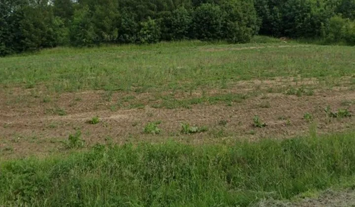 Działka Uniejów-Parcela