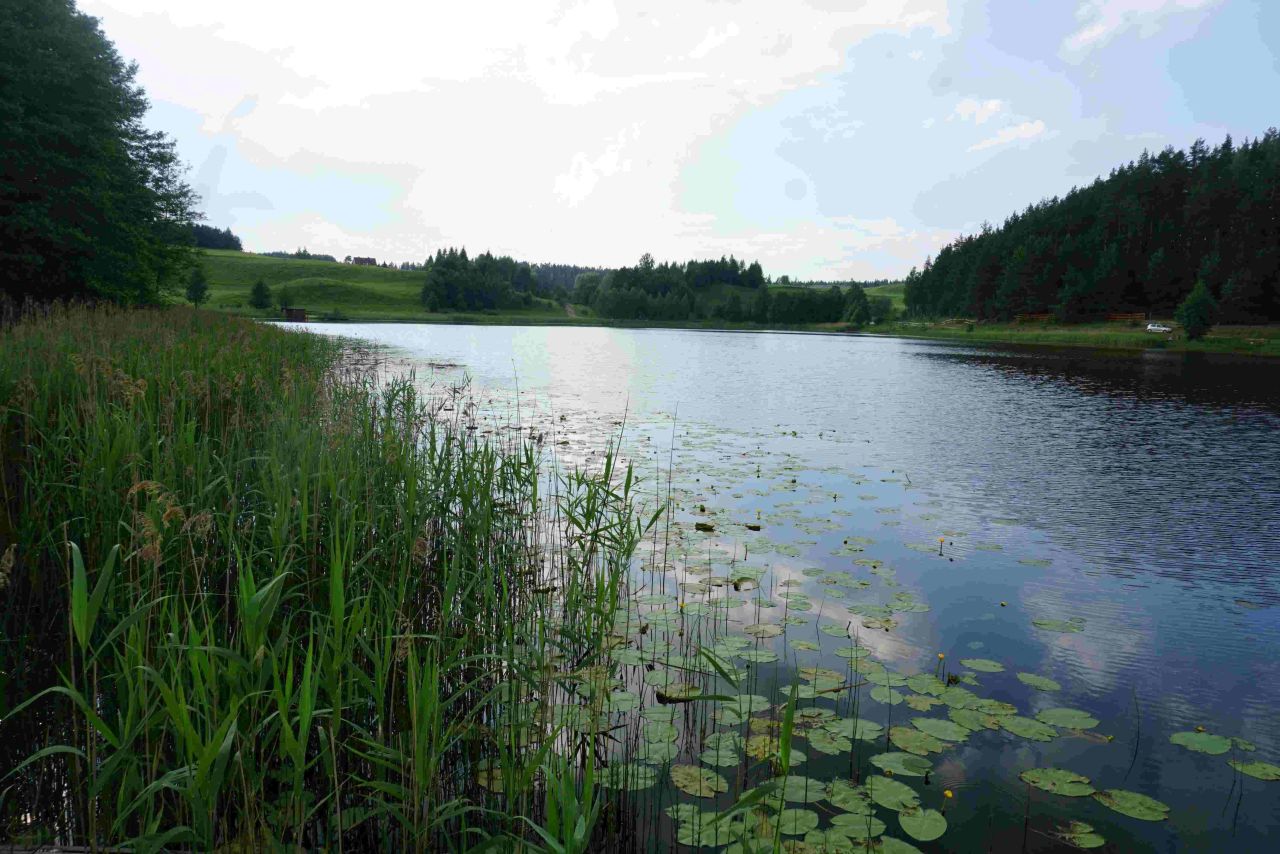 Działka siedliskowa Osinki. Zdjęcie 4