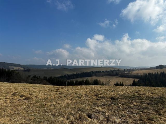 Działka rolna Berest. Zdjęcie 6