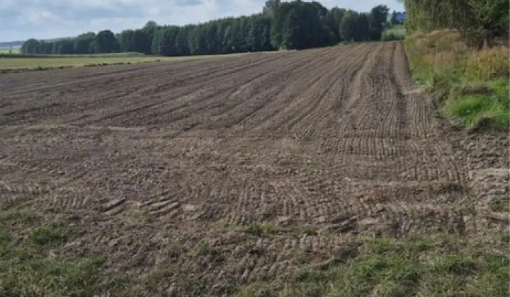 Działka inwestycyjna Łomża, ul. Elbląska