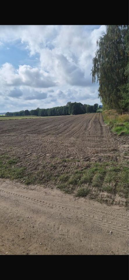 Działka inwestycyjna Łomża, ul. Elbląska. Zdjęcie 1