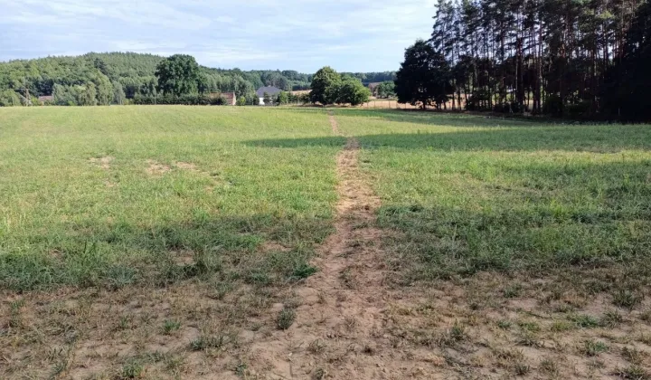 Działka siedliskowa Gryfice